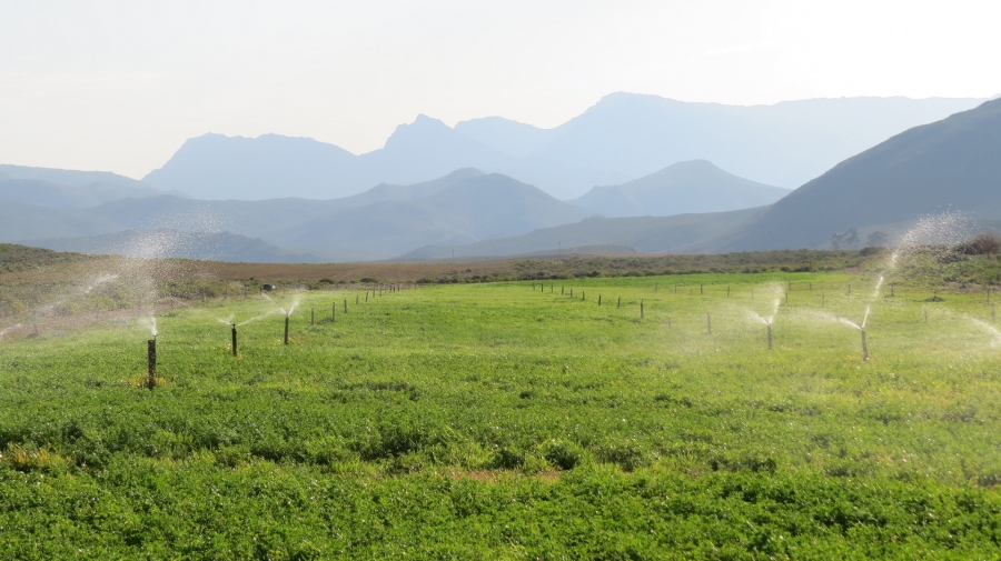 Commercial Property for Sale in Montagu Rural Western Cape